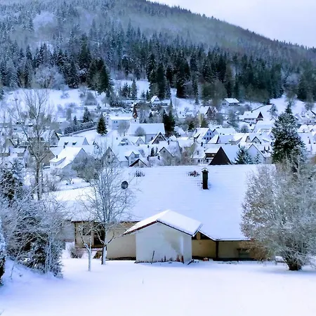 Apartment Mayntz' Albjuwel *