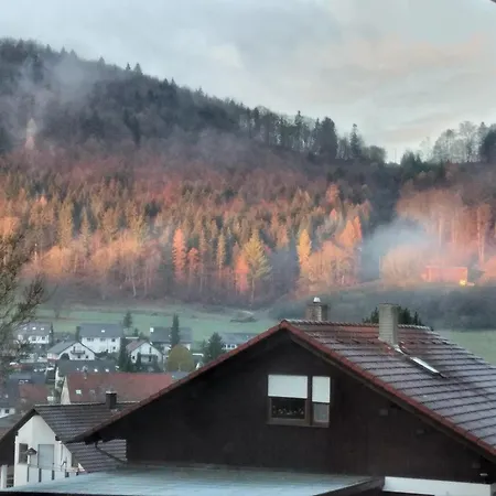 Mayntz' Albjuwel Apartment Messstetten