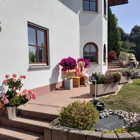Mayntz' Albjuwel Apartmán Messstetten